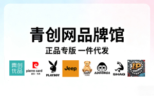 青创网品牌专版供应链，一件代发，售后无忧！